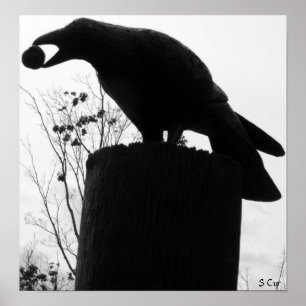 Póster Bite de Raven, S Cyr