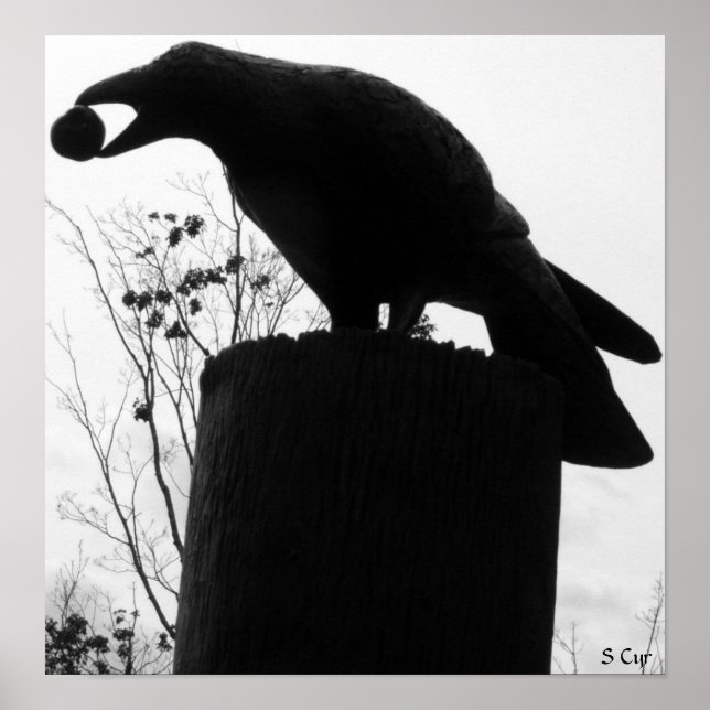 Póster Bite de Raven, S Cyr (Frente)