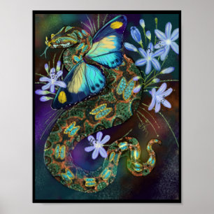 Póster Bitis Nasicornis Butterfly Viper