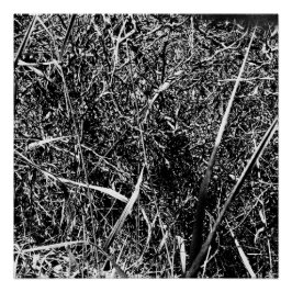 Póster Black Alien Grass