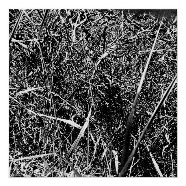 Póster Black Alien Grass (Anverso)