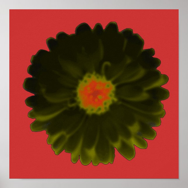 Póster Black and Red Marigold Poster (Frente)