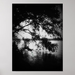 Póster Black and White