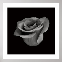 Póster Black and White Flower Photography