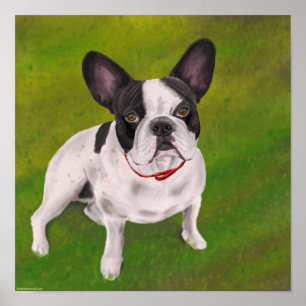 Póster Black and white French Bulldog on Grass - Painting