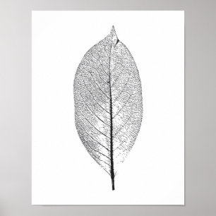 Póster Black and White leaf poster