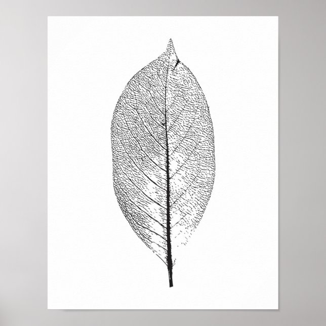 Póster Black and White leaf poster (Frente)