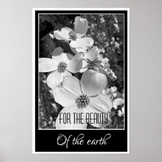 Póster Black and White Reflections For the Beauty Poster