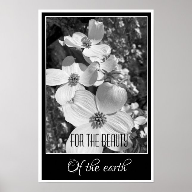 Póster Black and White Reflections For the Beauty Poster (Frente)