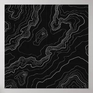 Póster Black and white topography map