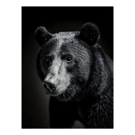 Póster Black Bear in fine art photography