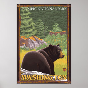 Póster Black Bear in Forest - Olympic Nat'l Park, WA