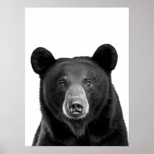 Póster Black Bear Woodland Retrato moderno blanco negro