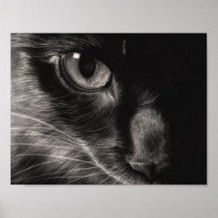 Póster Black Beauty Cat Poster