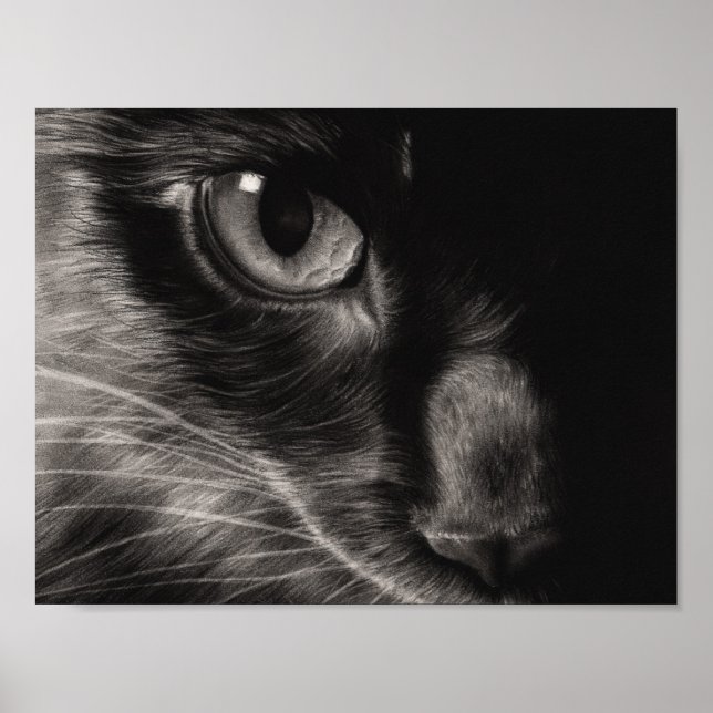 Póster Black Beauty Cat Poster (Frente)