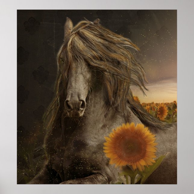 Póster Black Beauty Friesian Horse - Poster (Frente)