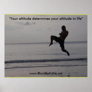 Póster Black Belt USA Poster1