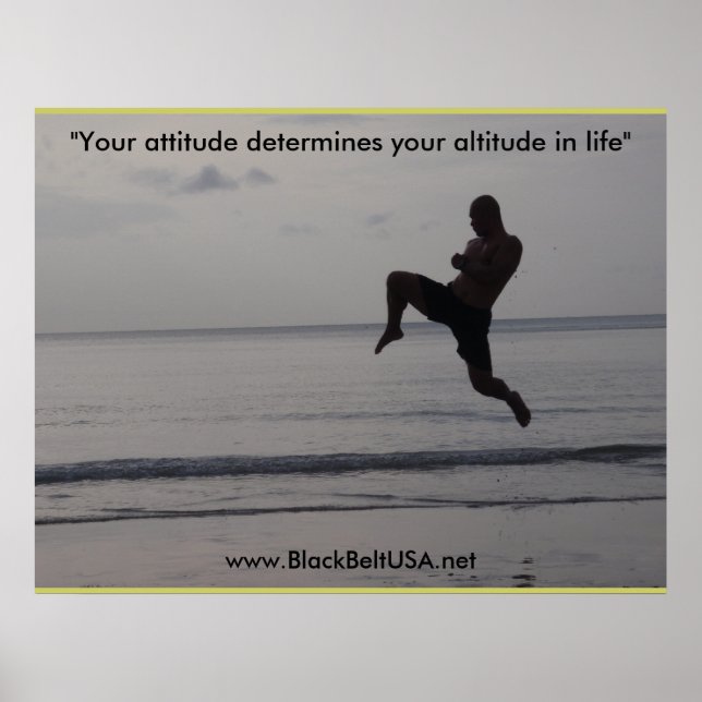 Póster Black Belt USA Poster1 (Frente)