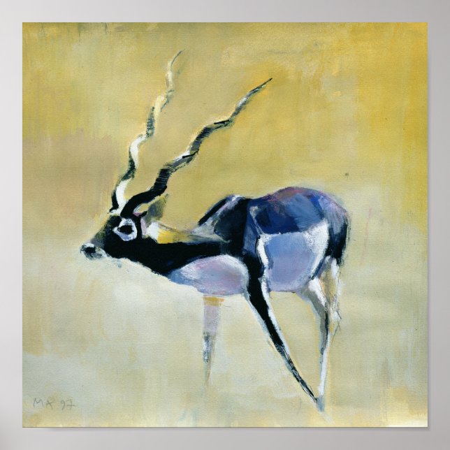 Póster Black Buck Velavadar 1997 (Frente)