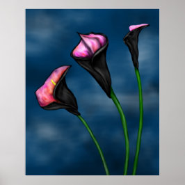 Póster Black Calla Lilies Pink Center