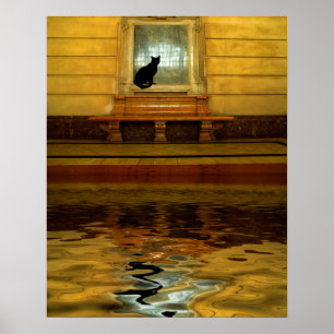 Póster Black Cat above Water
