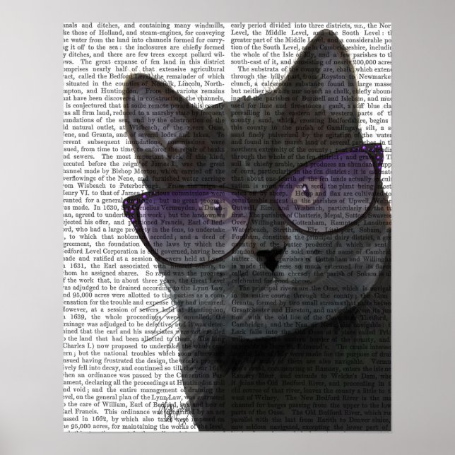 Póster Black Cat with Sunglasses (Frente)