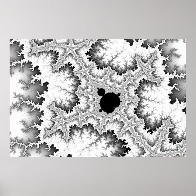 Póster Black Coral Poster (Frente)