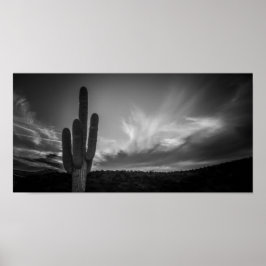 Póster black desert