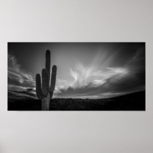 Póster black desert