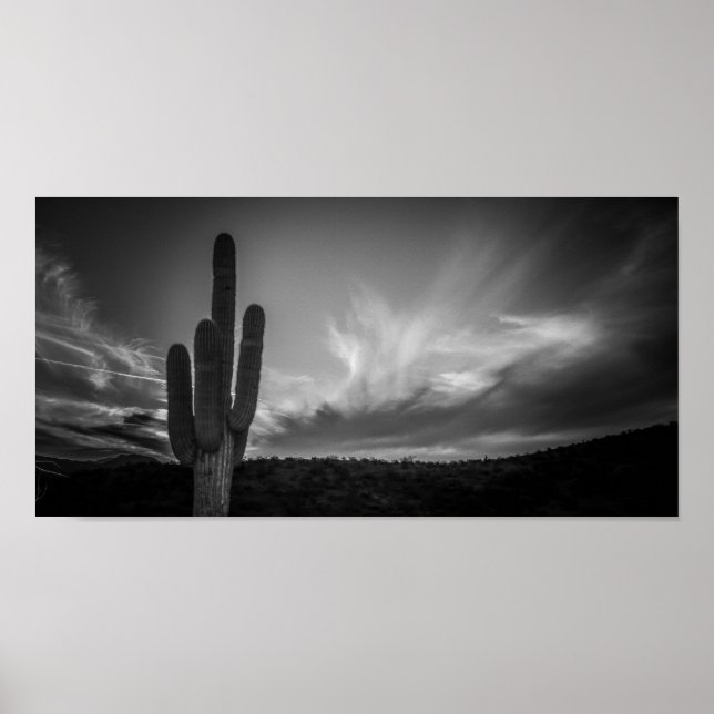 Póster black desert (Frente)