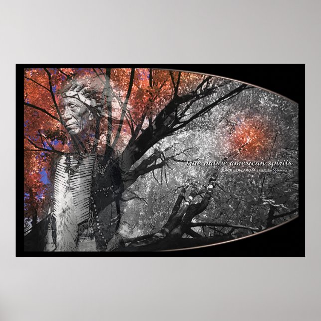 PÓSTER BLACK ELK (Frente)