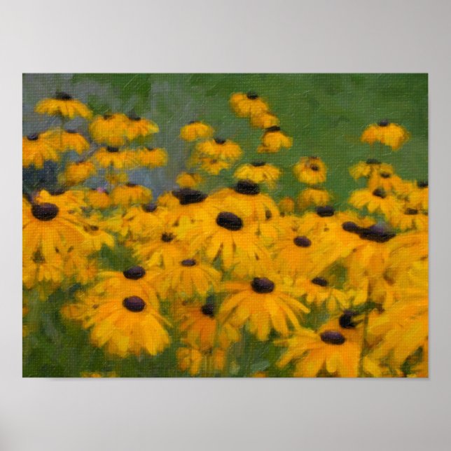 Póster Black Eyed Susans (Frente)
