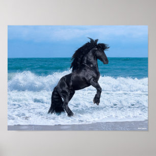 Póster Black Friesian Stallion Rearing In the Sea