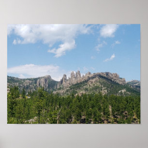 Póster Black Hills View From the Needles Highway, SD