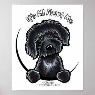 Póster Black Labradodle IAAM