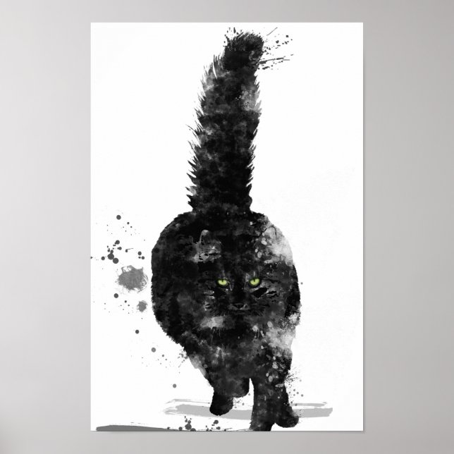 PÓSTER BLACK MAINE COON CAT - (Frente)