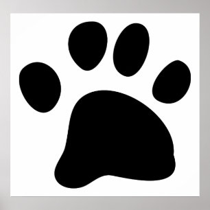 Póster Black Paw