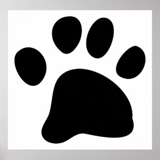 Póster Black Paw
