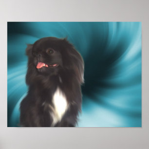 Póster Black Pekingese Blue Swirls Dog Art