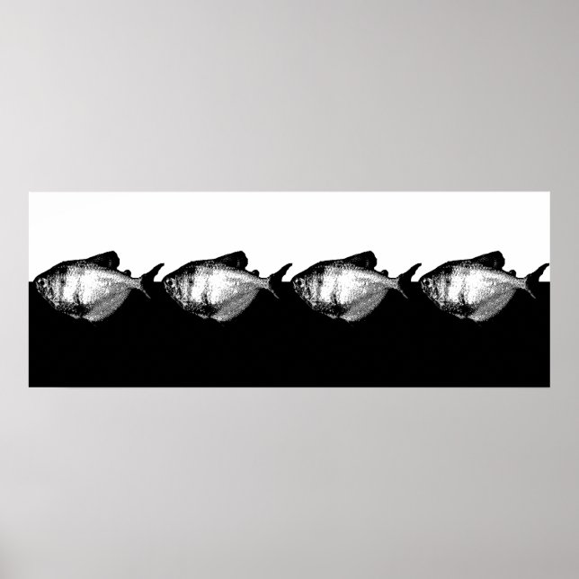 Póster Black Skirt Tetra School (Frente)