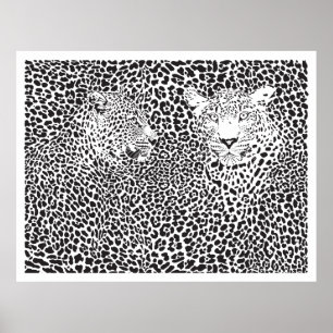 Póster Black Spots Leopards Camouflaged
