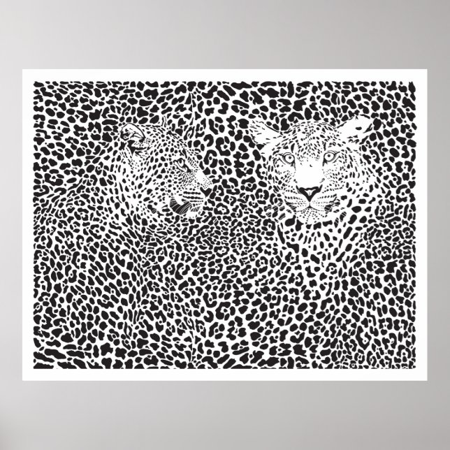 Póster Black Spots Leopards Camouflaged (Frente)