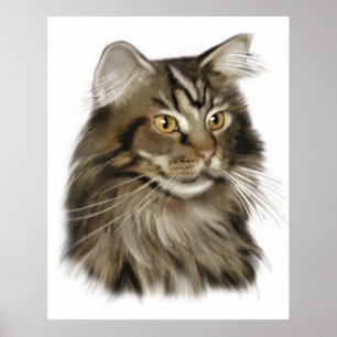 Póster Black Tabby Maine Coon Cat