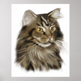 Póster Black Tabby Maine Coon Cat