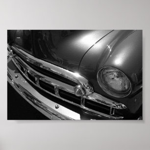 Póster Black & White Beauty