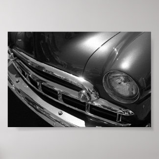 Póster Black & White Beauty