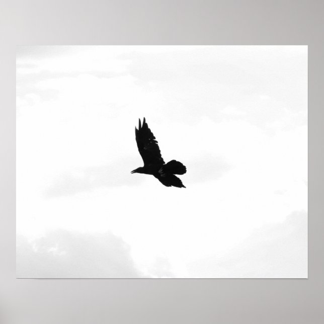 Póster Black & White Flying Black Raven 16x20 (Frente)