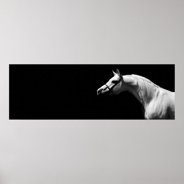 Póster Black & White Horse (Frente)
