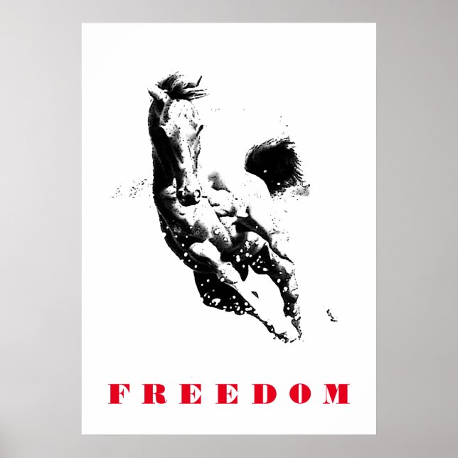 Póster Black White Horse Motivation Freedom Pop Art (Frente)
