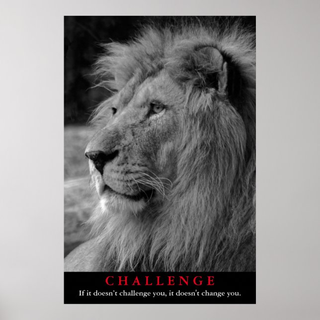 Póster Black & White Lion Animal Motivational Challenge (Frente)